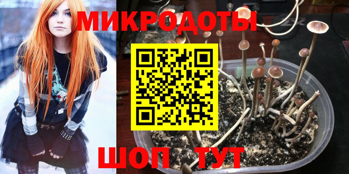 Псилоцибиновые грибы мухоморы  Вход с VPN  Торжок 