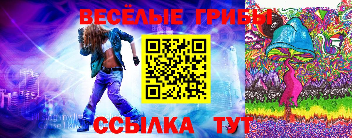 Галлюциногенные грибы Magic Shrooms Торжок