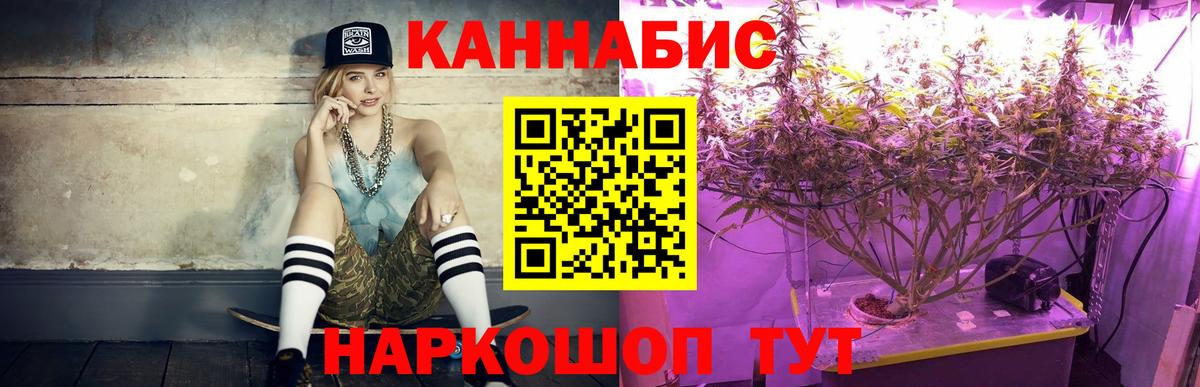 Каннабис конопля  Канабис сатива  Вход с VPN  Торжок  Каннабис MAZAR  Марихуана тримм 